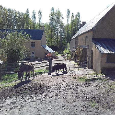 Villa Gite du Jardin Des Sources Vaux-sur-Seulles Exterior foto