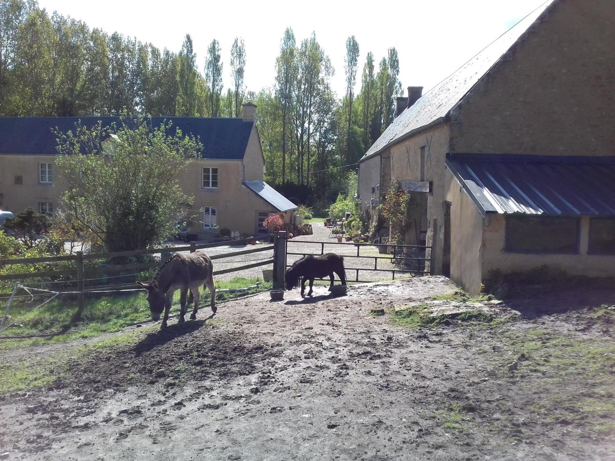 Villa Gite du Jardin Des Sources Vaux-sur-Seulles Exterior foto